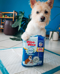 Four Paws Wee-Wee Odor Control with Febreze Freshness Pee Pads for Dogs & Puppies, Leak-Proof Dog Housebreaking Potty Training Floor Protection, Spring Fresh Scent