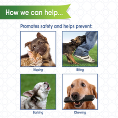 Four Paws Walk-About Quick-Fit Short Snout Adjustable Dog Muzzle for Medium Dogs, Washable & Breathable, Black