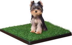 Four Paws Wee-Wee Premium Patch Indoor and Outdoor Pet Potty for Dogs l Dog Potty Training l Artificial Grass l Wee-Wee Patch