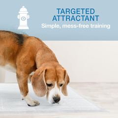 Four Paws Wee-Wee Super Absorbent Unscented Pee Pads for Dogs & Puppies with Insta-Rise Border, Leak-Proof Dog Housebreaking Potty Training Floor Protection