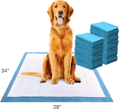 Four Paws Wee-Wee Superior Performance XL Pee Pads for Extra Large Dogs, Leak-Proof Floor Protection Dog & Puppy Quilted Potty Training Pads, Unscented