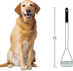 Four Paws Wee-Wee Pooper Scoopers for Dogs l Outdoor grass | 1 count