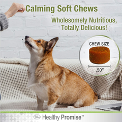 Four Paws Healthy Promise Calming Chews for Dogs