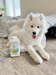 Four Paws Healthy Promise Brewers Yeast for Dogs Immunity