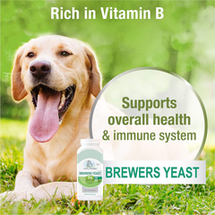 Four Paws Healthy Promise Brewers Yeast for Dogs Immunity