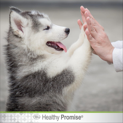 Four Paws Healthy Promise Pet Paw Guard, Balm Protection for Dog Paws