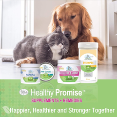 Four Paws Healthy Promise Pet Paw Guard, Balm Protection for Dog Paws