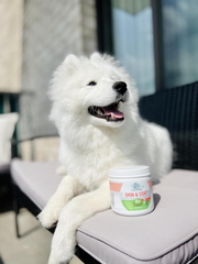 Four Paws Healthy Promise Dog Supplements for Skin and Coat Soft Chews