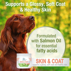 Four Paws Healthy Promise Dog Supplements for Skin and Coat Soft Chews
