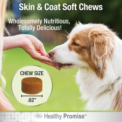 Four Paws Healthy Promise Dog Supplements for Skin and Coat Soft Chews