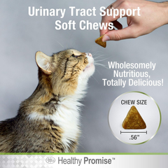 Four Paws Healthy Promise Cat Urinary Tract Supplement Soft Chews