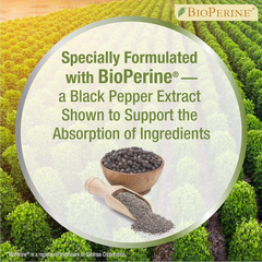 Four Paws Healthy Promise Cat Urinary Tract Supplement Soft Chews