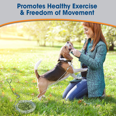 Four Paws Heavy Weight Tie Out Cable Silver