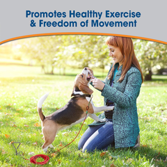 Four Paws Medium Weight Dog Tie Out Cable