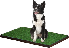 Four Paws Wee-Wee Premium Patch Indoor and Outdoor Pet Potty for Dogs l Dog Potty Training l Artificial Grass l Wee-Wee Patch