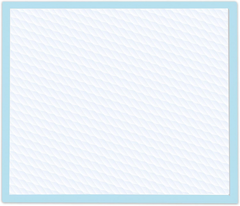 Four Paws Wee-Wee Superior Performance Dog Pee Pads 1ea/22" X 23"