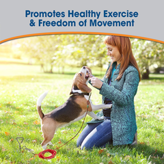 Four Paws Walk About Dog Spiral Tie Out Stake