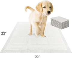 Four Paws Wee-Wee Super Absorbent Unscented Pee Pads for Dogs & Puppies with Insta-Rise Border, Leak-Proof Dog Housebreaking Potty Training Floor Protection