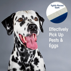 Four Paws Magic Coat Professional Series Grooming Brushes for Dogs & Cats l Trimmers, Nail Clippers, & Brushes Dog & Cat