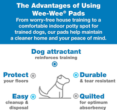 Four Paws Wee-Wee Silicone Pee Pad Holder for Dogs & Puppies, Washable Dog Housebreaking Potty Training Floor Protection