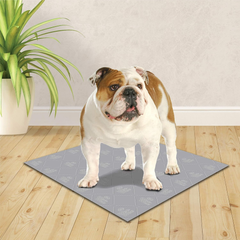 Four Paws Wee-Wee Premium Patch Reusable Pee Pad for Dogs