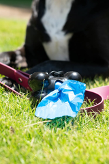 Four Paws Wee-Wee Outdoor Dog Waste Bag Dispenser with Heavy Duty Waste 30 count Bag