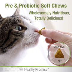 Four Paws Healthy Promise Pre and Probiotics for Cats Soft Chews