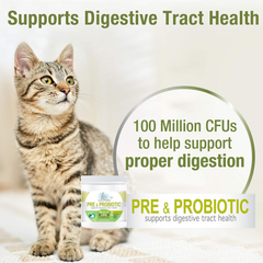 Four Paws Healthy Promise Pre and Probiotics for Cats Soft Chews
