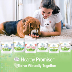 Four Paws Healthy Promise Pre and Probiotics for Cats Soft Chews