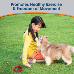 Four Paws Puppy Dog Tie Out Cable Red Puppy