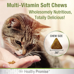 Four Paws Healthy Promise Cat Multivitamin Soft Chews