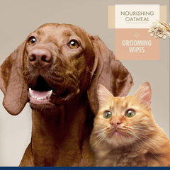 Four Paws Magic Coat Professional Series Nourishing Oatmeal Cat and Dog Grooming Wipes - Fresh Peach Scent