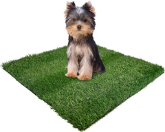 Four Paws Wee-Wee Premium Patch Indoor and Outdoor Pet Potty for Dogs l Dog Potty Training l Artificial Grass l Wee-Wee Patch