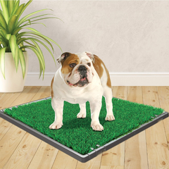 Four Paws Wee-Wee Premium Patch Indoor and Outdoor Pet Potty for Dogs l Dog Potty Training l Artificial Grass l Wee-Wee Patch