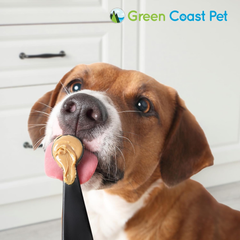 All-Natural Pawnut Butter for Dogs | Made in USA | Peanut & Flaxseed Blend