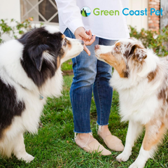 All-Natural Pawnut Butter for Dogs | Made in USA | Peanut & Flaxseed Blend