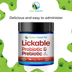 Lickable Actives Probiotic & Prebiotic Supplement for Dogs