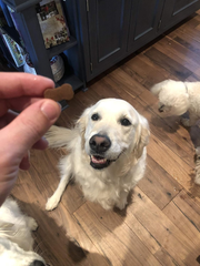 Hemp+Superblend Soft Chews - Whitefish