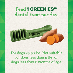 Greenies Regular Natural Dog Dental Treats, Sweet Potato Flavor