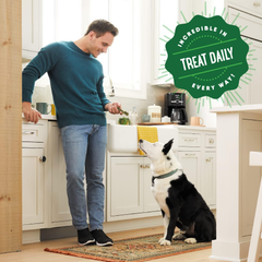 Greenies Regular Natural Dog Dental Treats, Sweet Potato Flavor