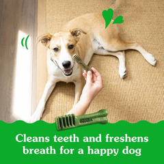 Greenies Puppy Regular Size Natural Dental Dog Treats