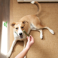 Greenies Puppy Teenie Size Natural Dental Dog Treats