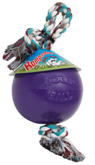 Jolly Pets Romp-N-Roll Ball Dog Toy Durable