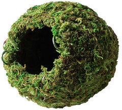 Galápagos (05346) Mossy Cave Hide, Green