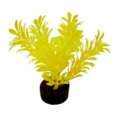 Blue Ribbon Pet Products Colorburst Florals Exotic Mini Plant