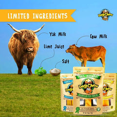 Tibetan Dog Chew Medium