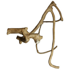 A&E Cage Co. Java Wood Multi Branch Perch