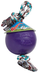 Jolly Pets Romp-N-Roll Ball Dog Toy Durable