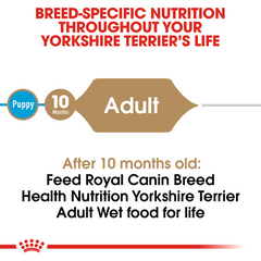 Royal Canin® Breed Health Nutrition® Yorkshire Terrier Adult Loaf In Sauce Dog Food, 3 oz, 4-pack