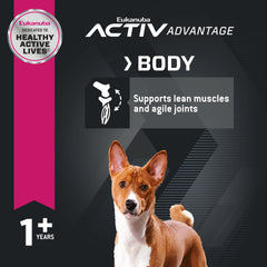 Eukanuba Adult Small Bites Dry Dog Food